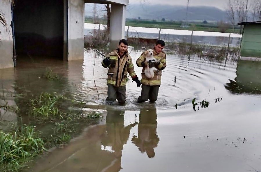 Umuda uzanan eller: Mahsur kalan köpeği itfaiye kurtardı
