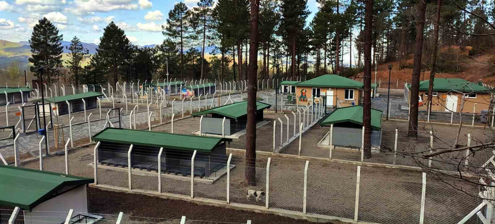 Ünye’de sahipsiz hayvanlar için örnek tesis tamamlanıyor
