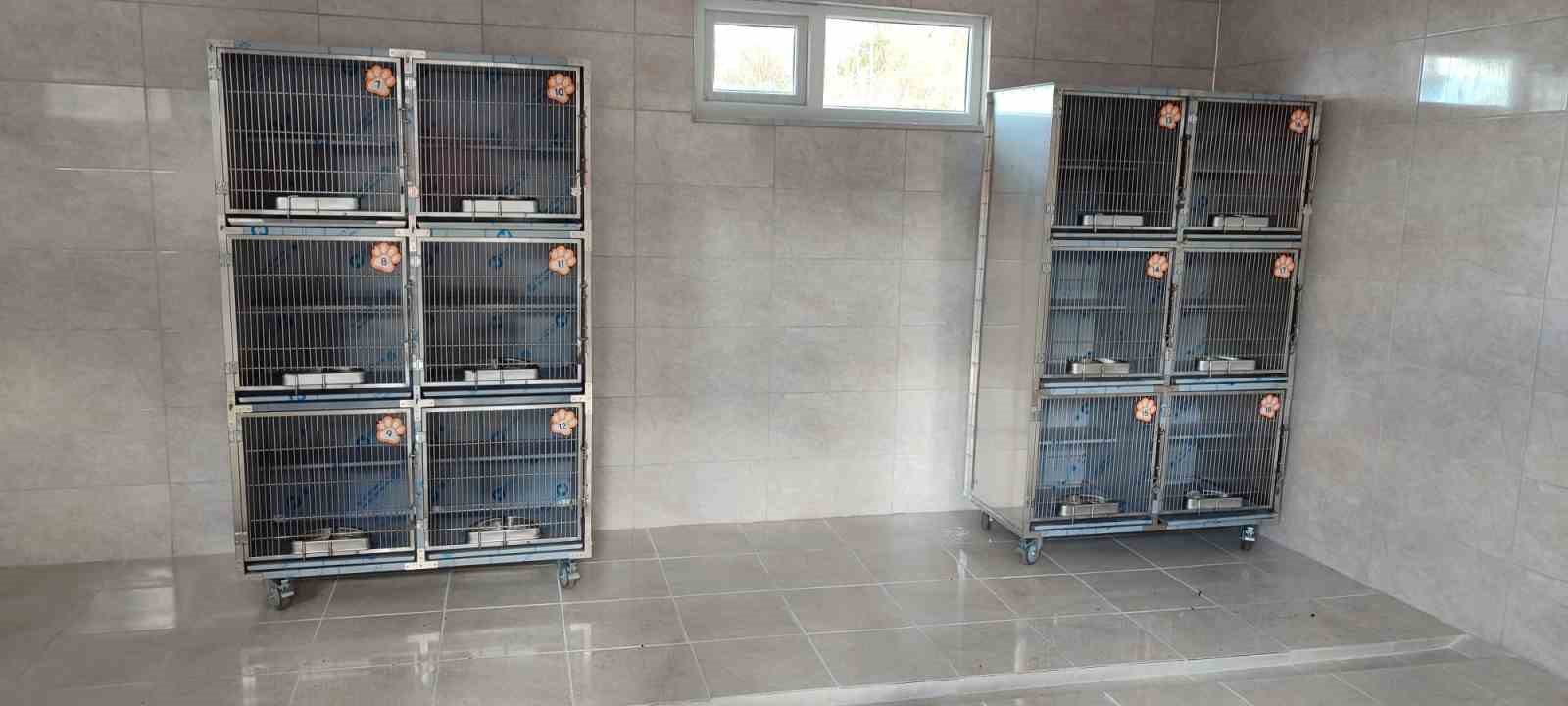 Ünye’de sahipsiz hayvanlar için örnek tesis tamamlanıyor
