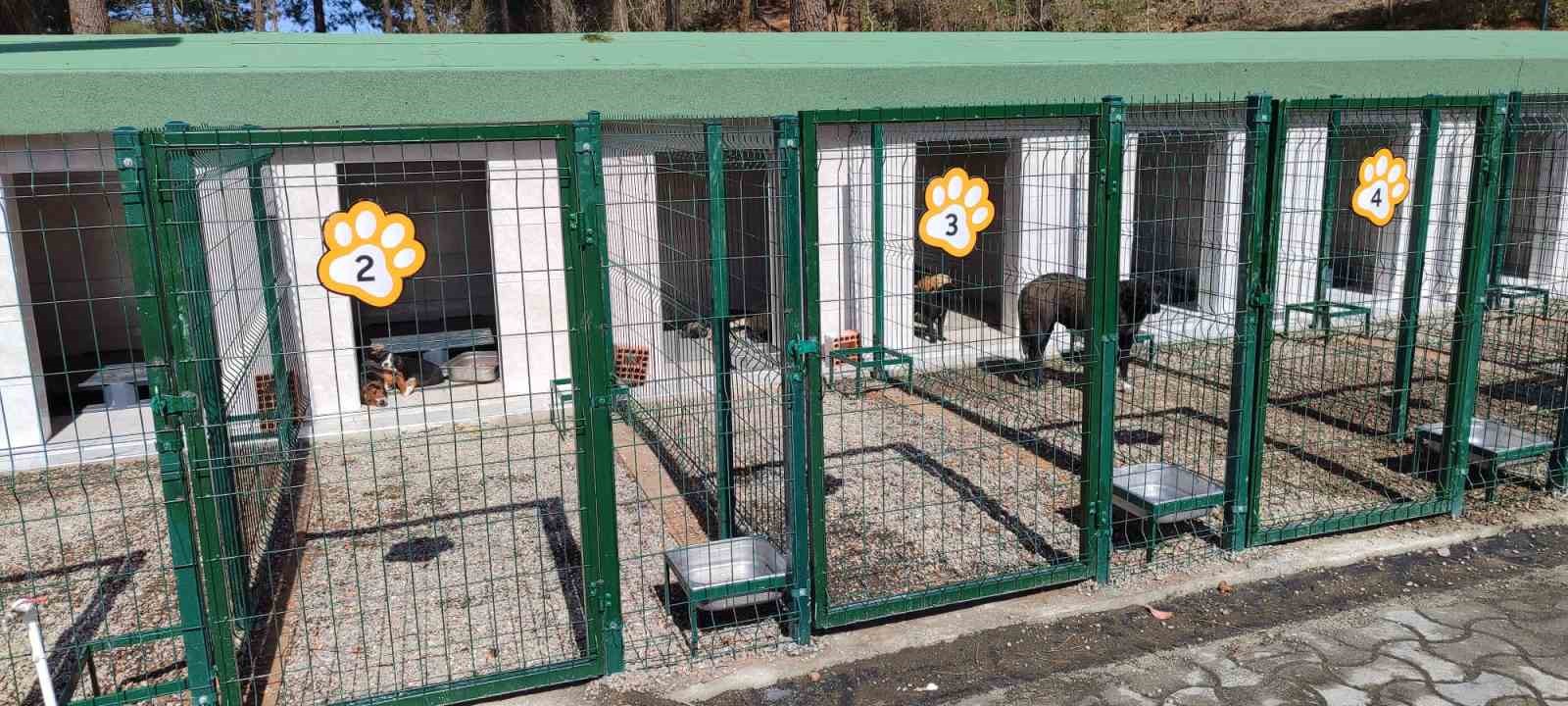 Ünye’de sahipsiz hayvanlar için örnek tesis tamamlanıyor
