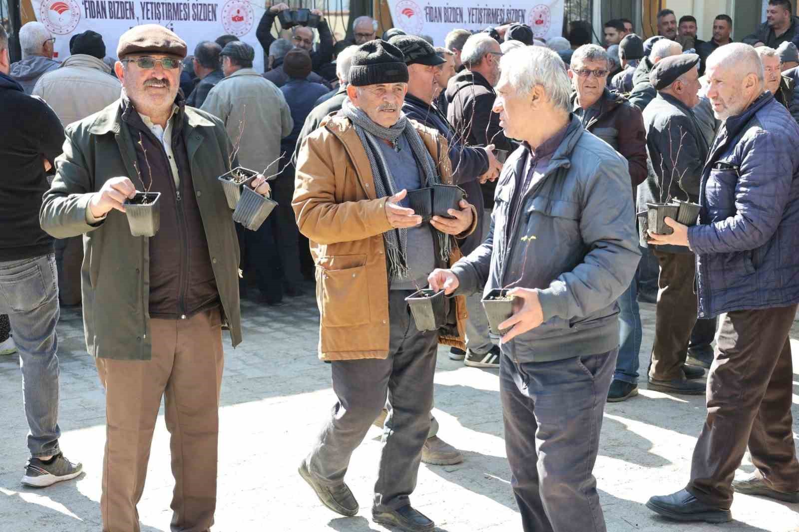 Üreticilere ücretsiz fidan dağıtımı yapıldı
