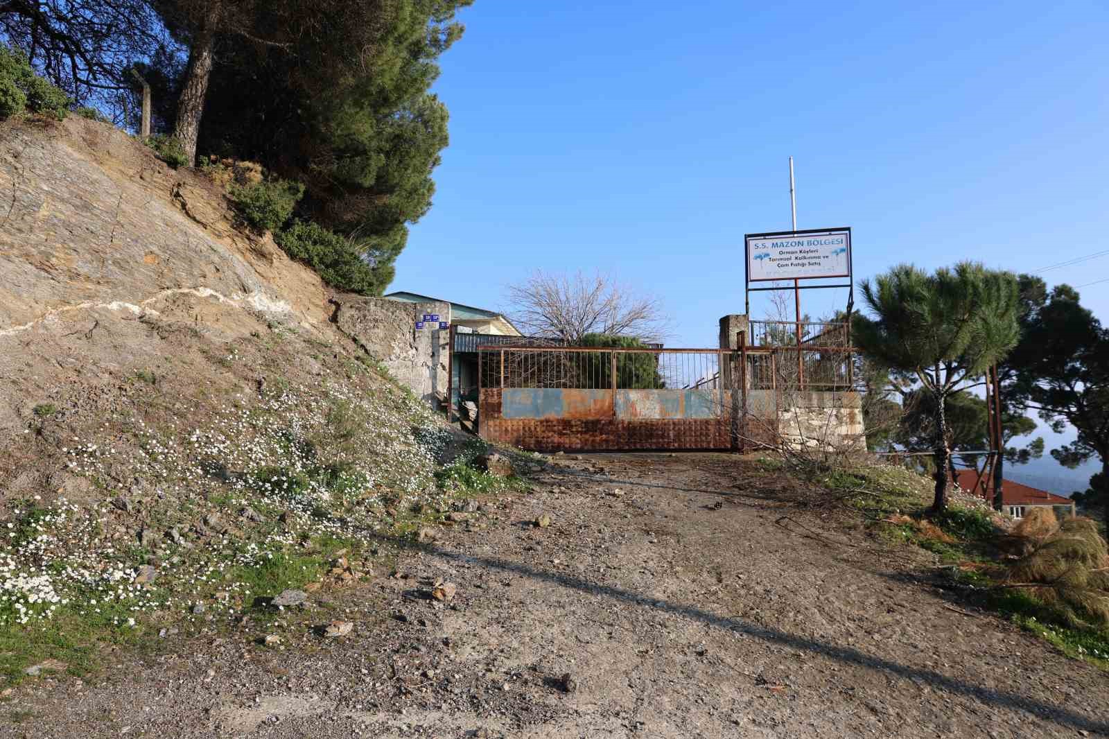 Üreticilere umut olacaktı, şimdi çürümeye terk edildi
