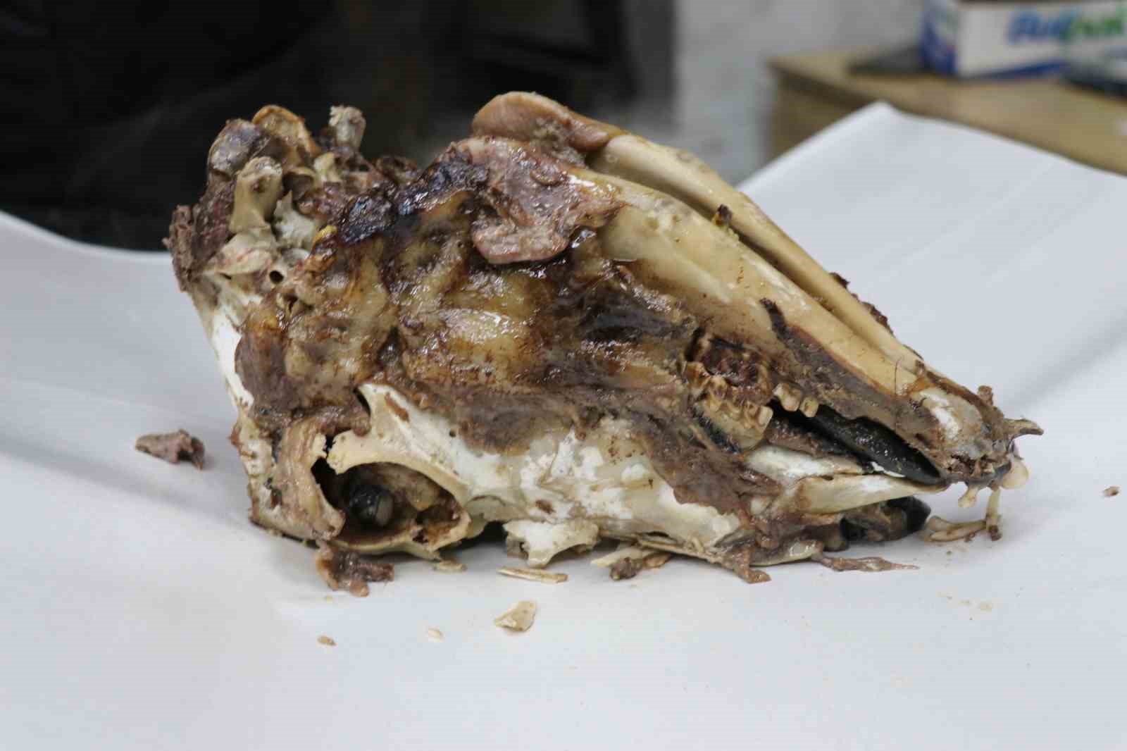 Ürkütücü görüntüsüne rağmen afiyetle tüketiliyor
Ürkütücü görüntüsüne rağmen afiyetle tüketiliyor