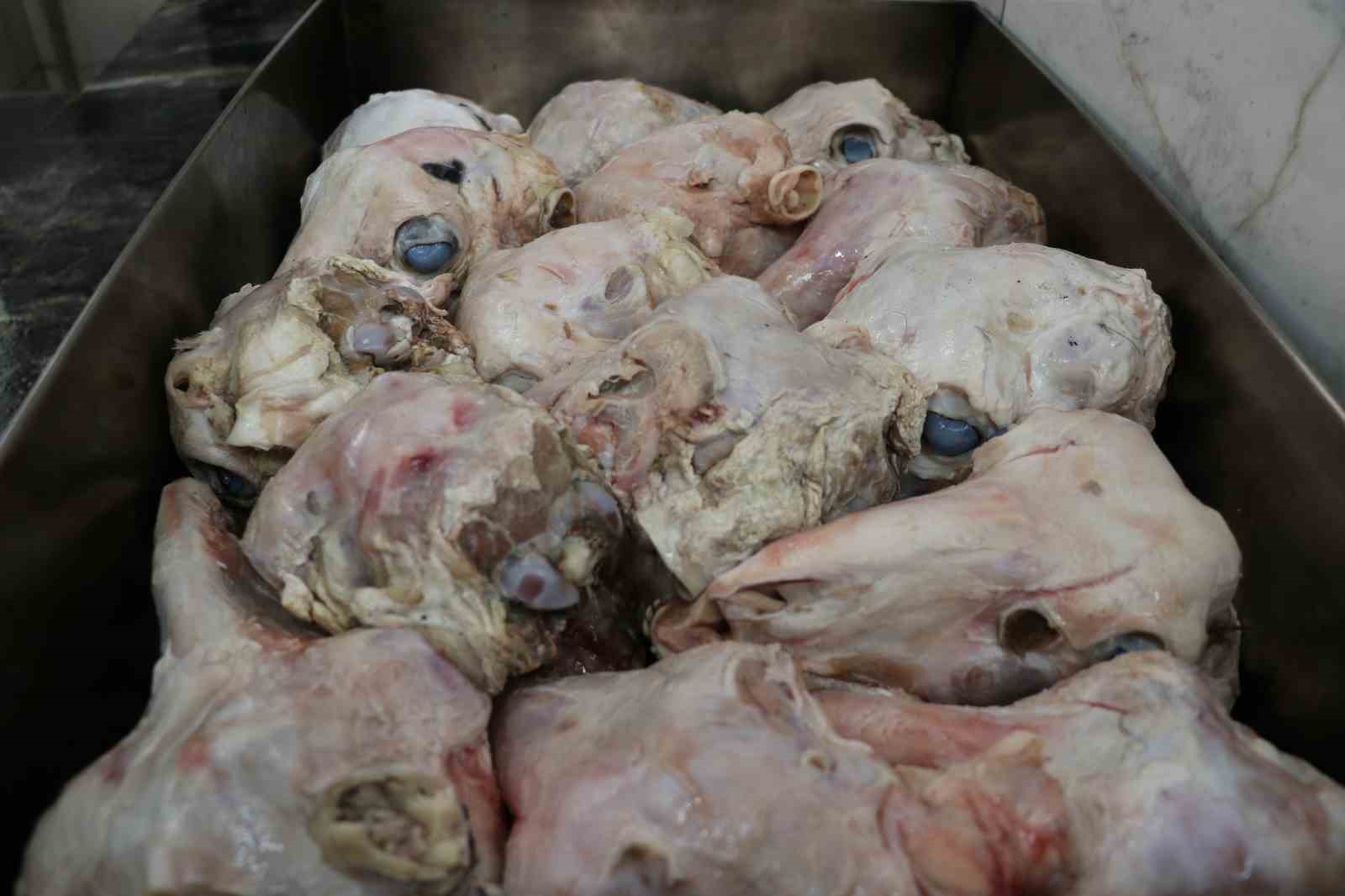 Ürkütücü görüntüsüne rağmen afiyetle tüketiliyor
Ürkütücü görüntüsüne rağmen afiyetle tüketiliyor