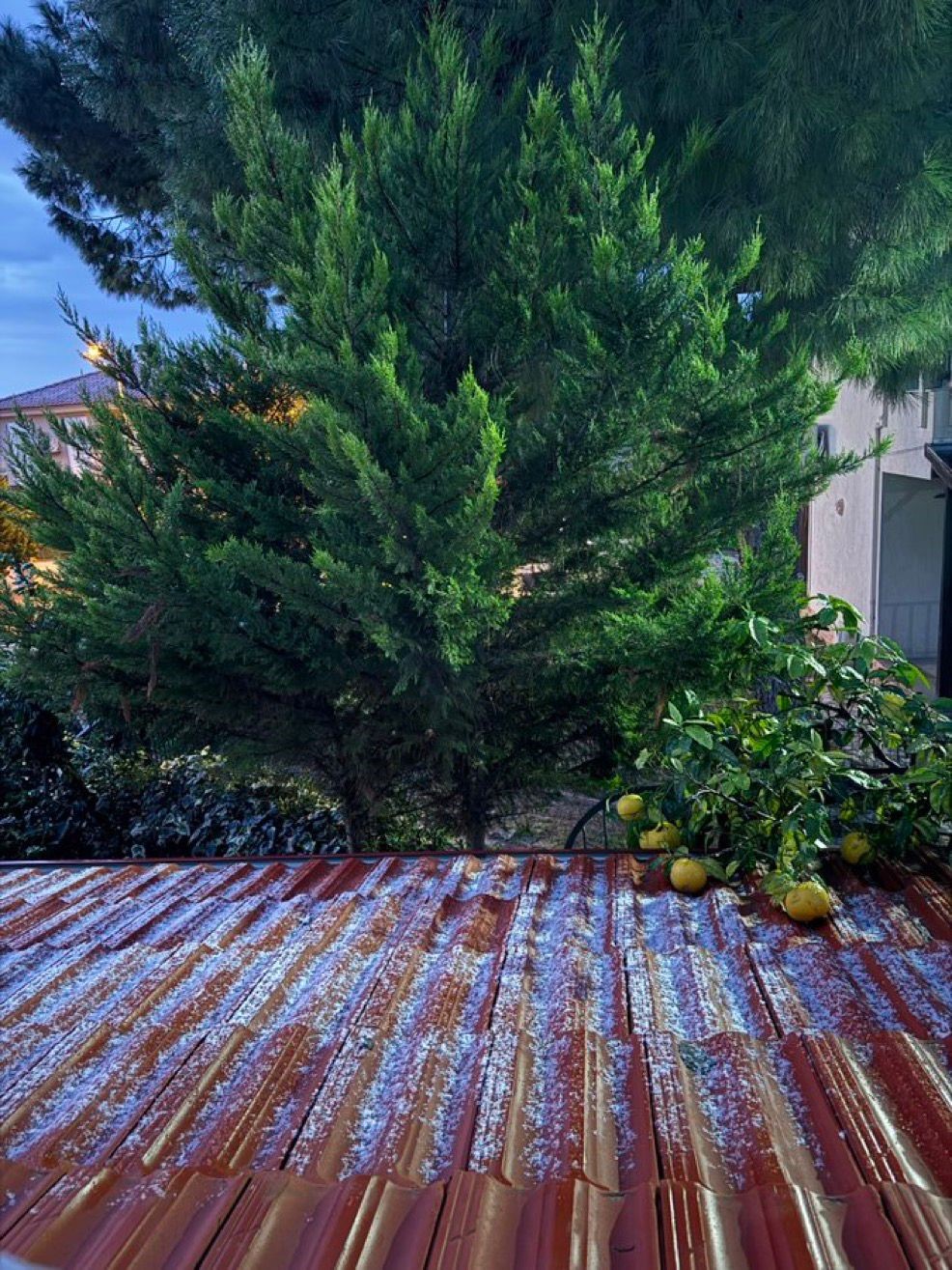 Urla’da kar yağışı etkili oldu
