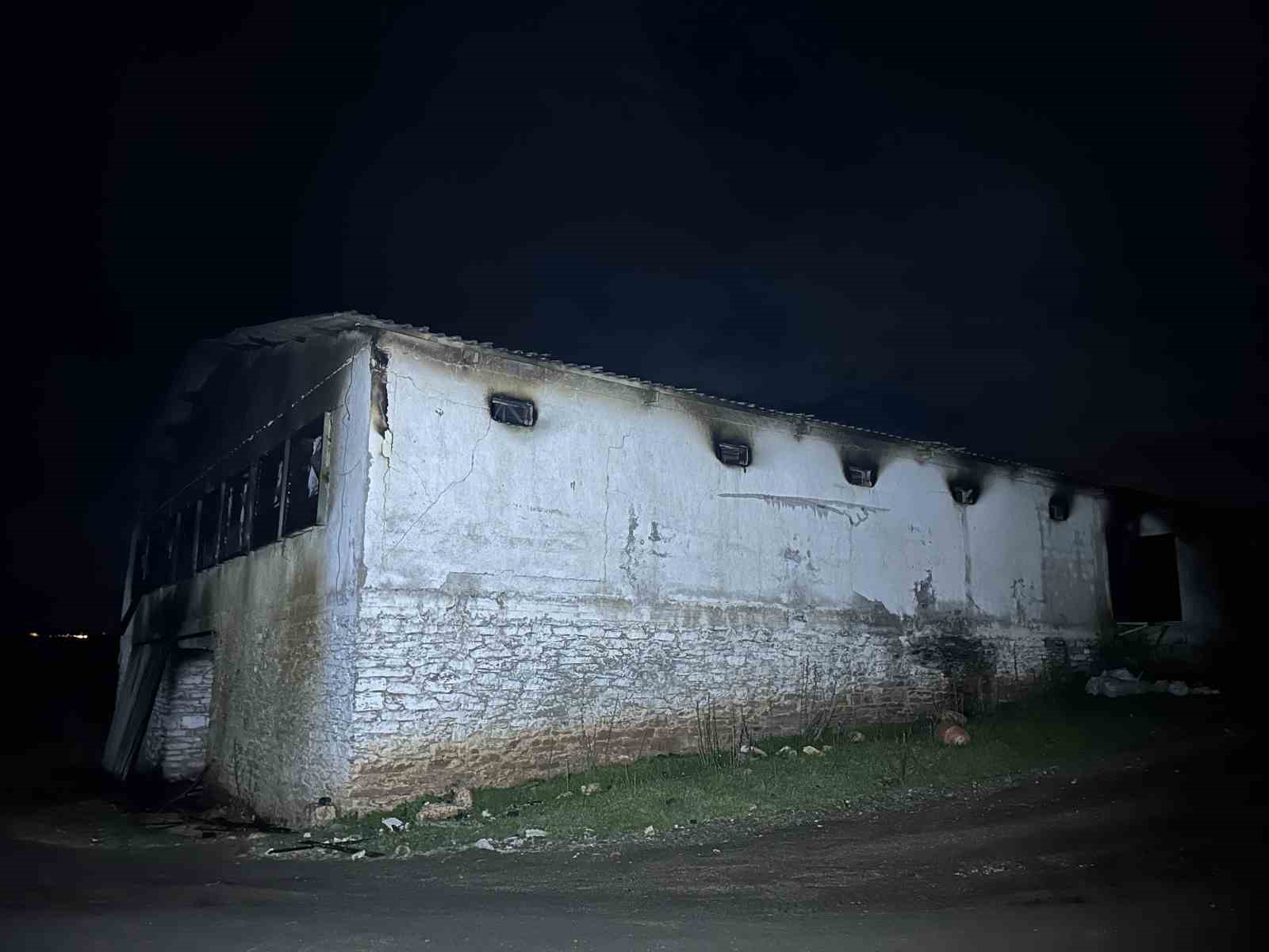 Uşak’ta boş tavuk çiftliğinde çıkan yangın korkuttu
