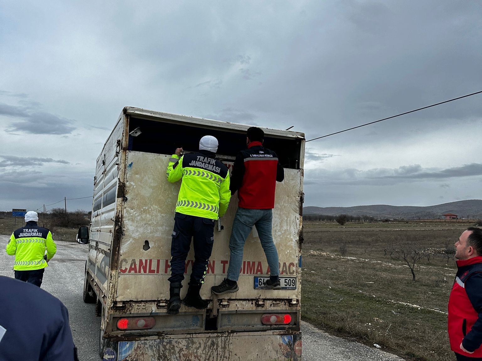 Uşak’ta hayvan sevkiyatlarına yönelik yol denetimi
