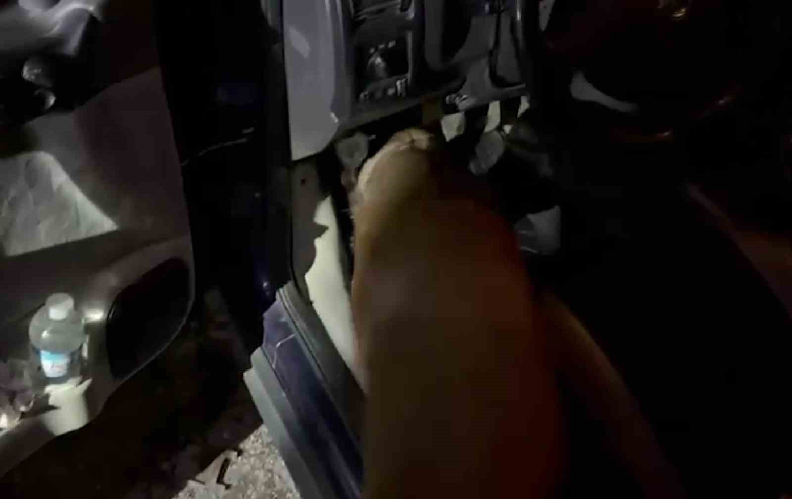 Uşak’ta uyuşturucu operasyonu: 8 tutuklama
