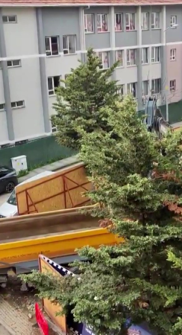 Üsküdar Belediyesi’nin ruhsat verdiği inşaat alanında ağaçlar kesildi
