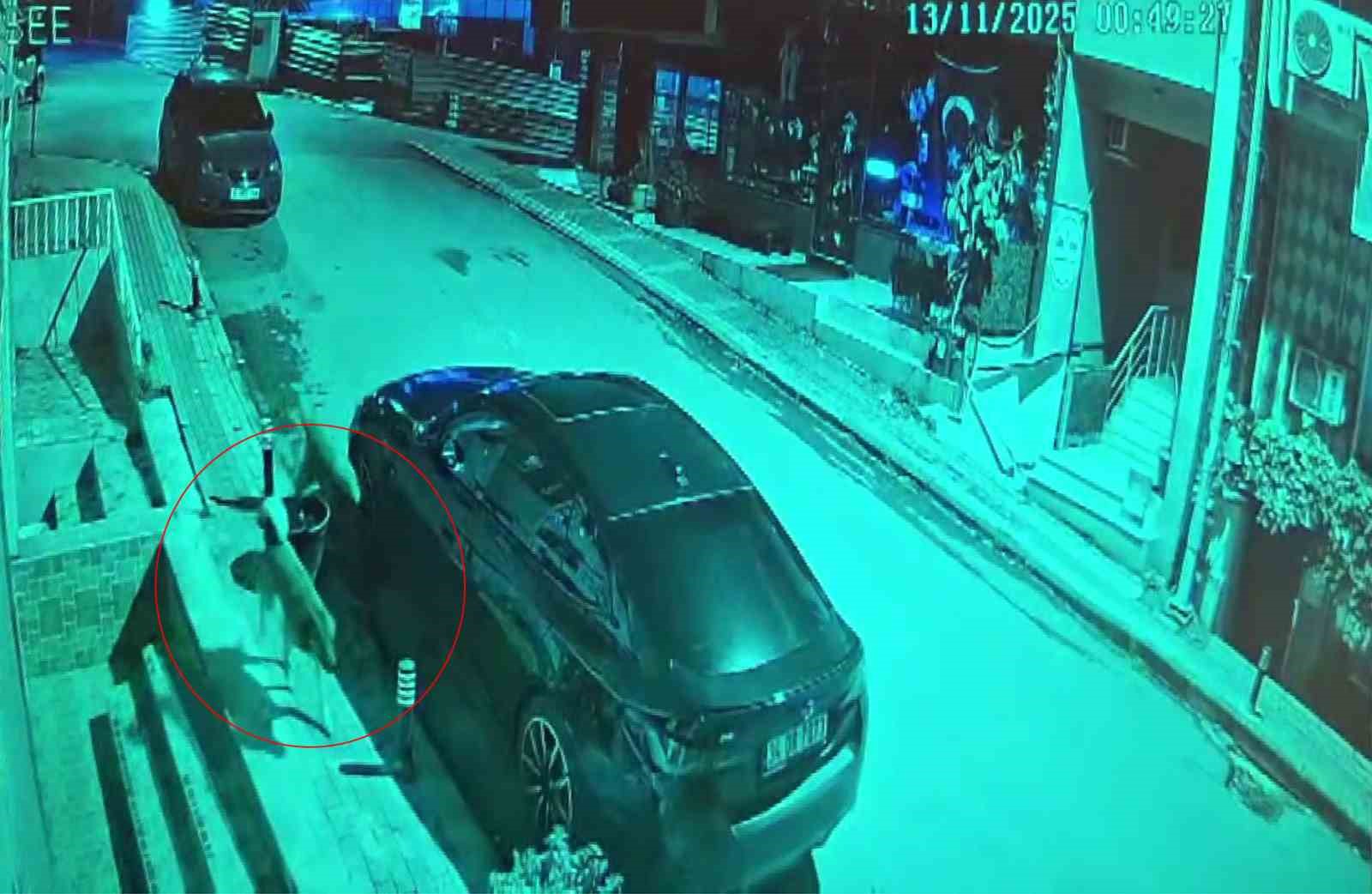 Üsküdar’da sokak köpekleri paniğe neden oldu: Başıboş sürünün bir araca zarar verdiği anlar kamerada
