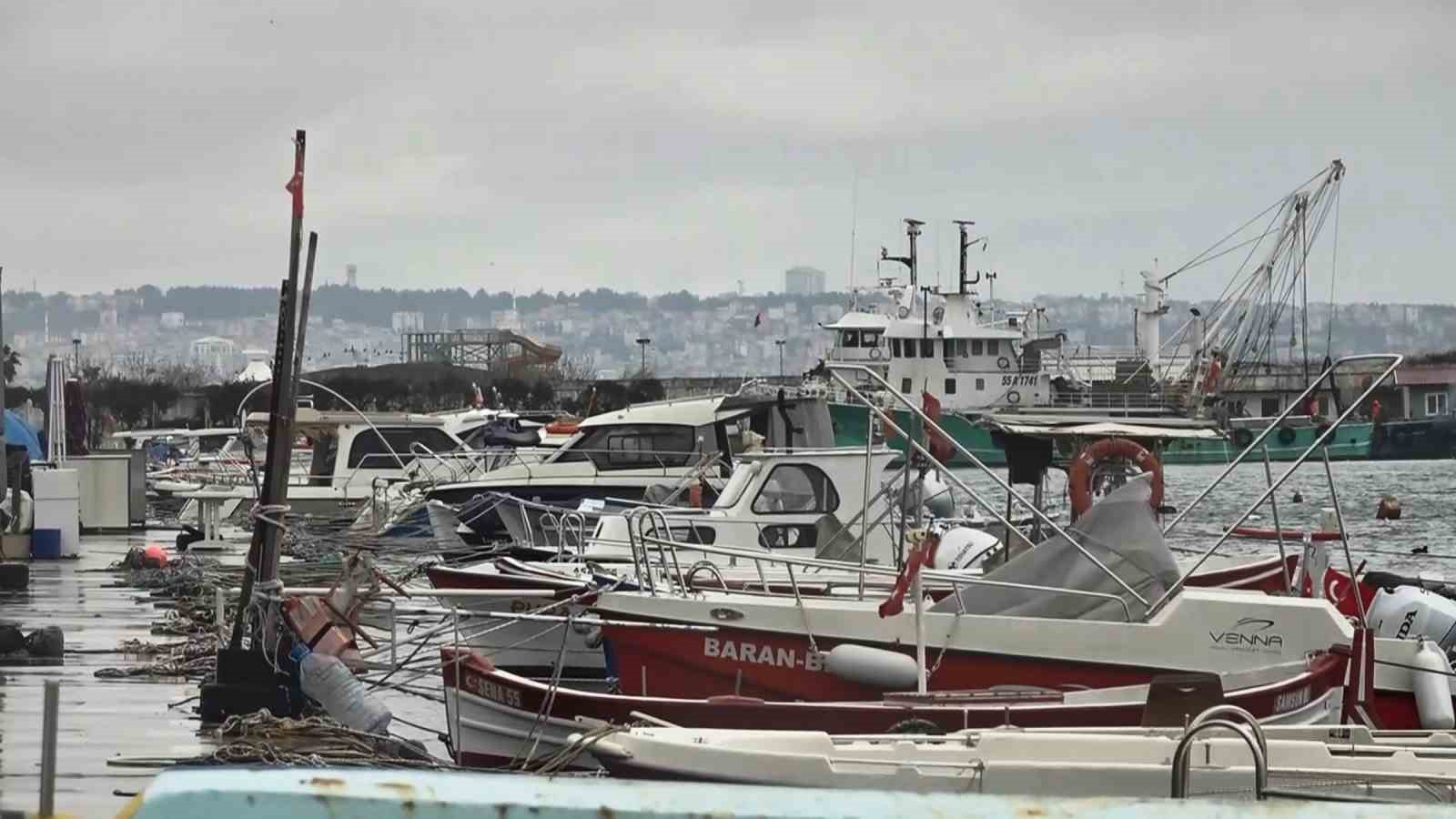 Uyanık lüfer Karadeniz zekasını kullandı: Denizlerde bol ama ağlara girmiyor
