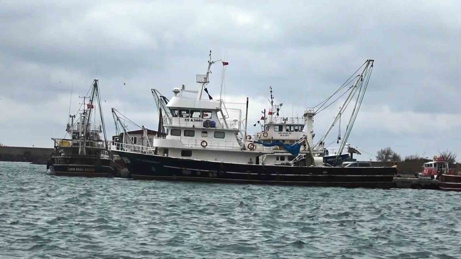 Uyanık lüfer Karadeniz zekasını kullandı: Denizlerde bol ama ağlara girmiyor
