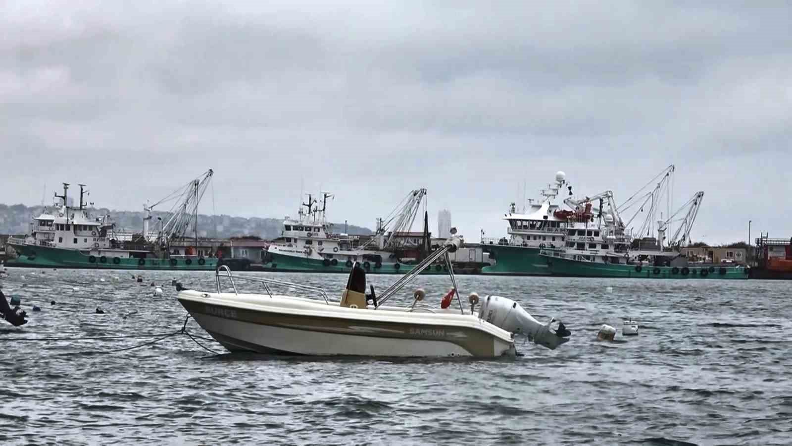 Uyanık lüfer Karadeniz zekasını kullandı: Denizlerde bol ama ağlara girmiyor
