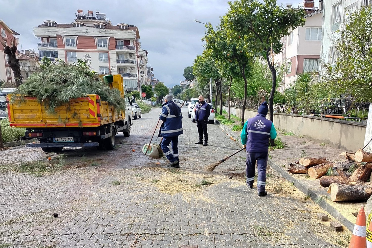 Üzerine ağaç devrilen park halindeki araç zarar gördü
