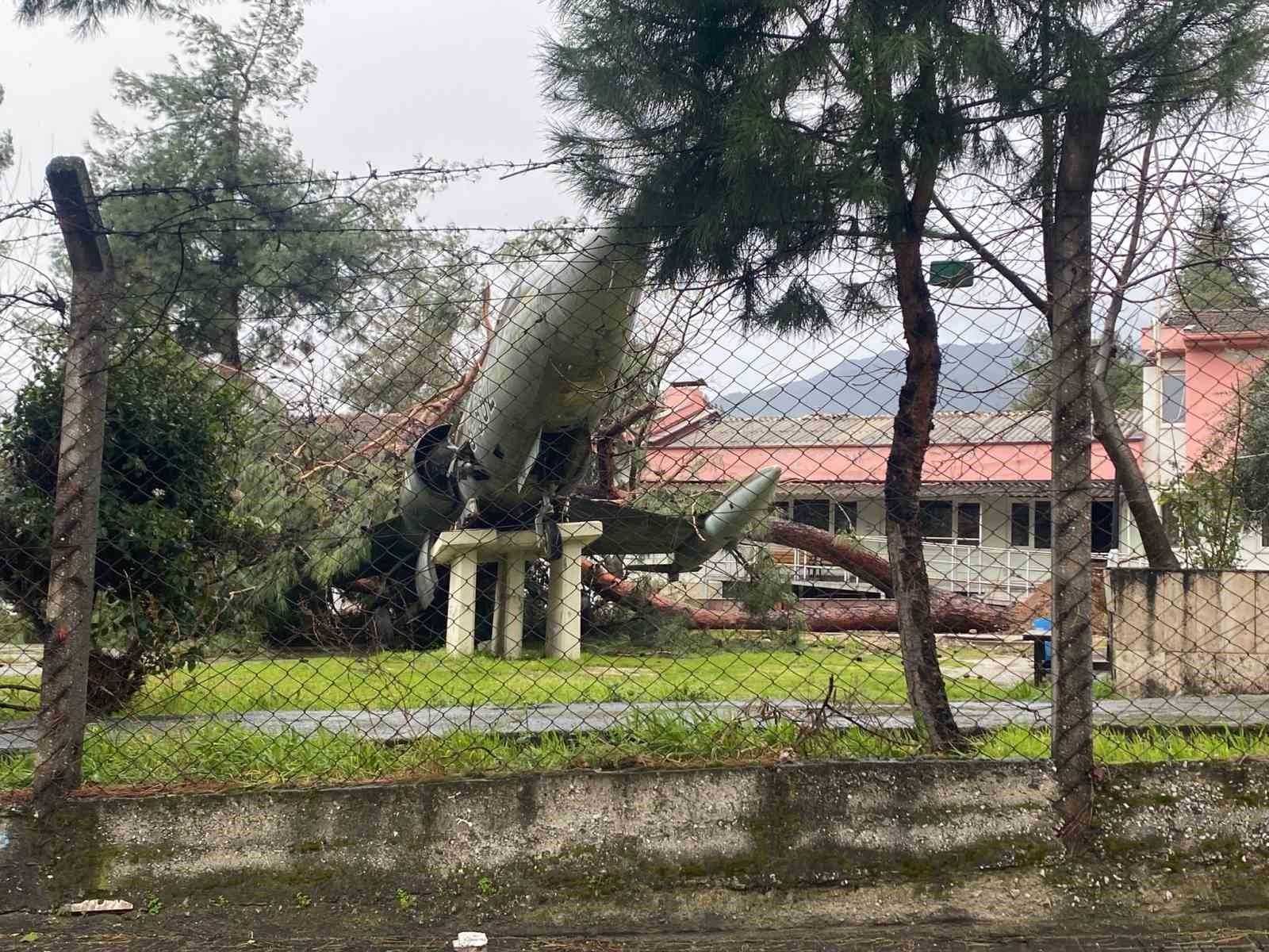Üzerine ağaç düşen uçak zarar gördü
