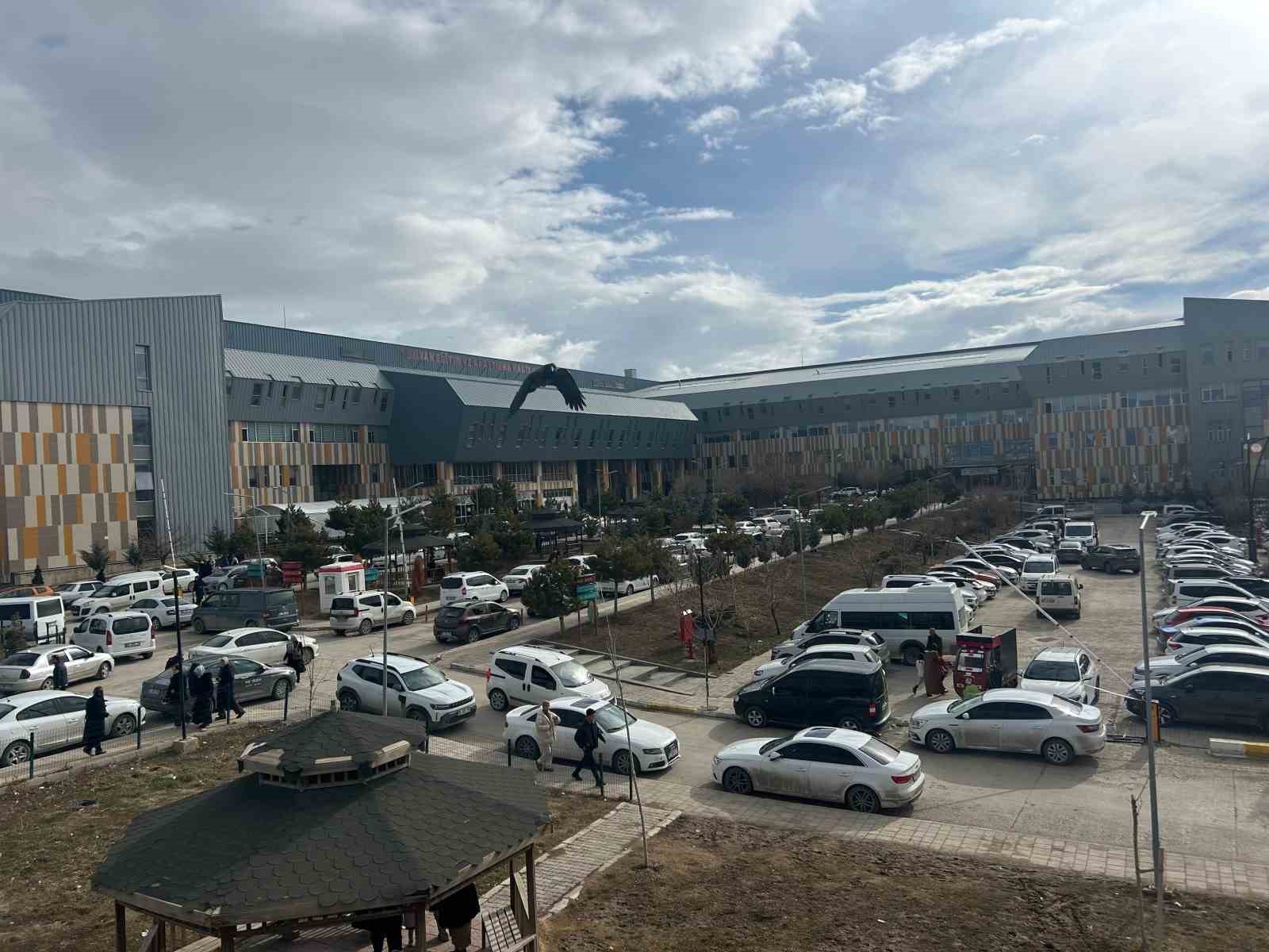 Uzman Dr. Dinç: "Erken tanı konulan çocukluk çağı kanserlerinde başarı oranı yüksek"
