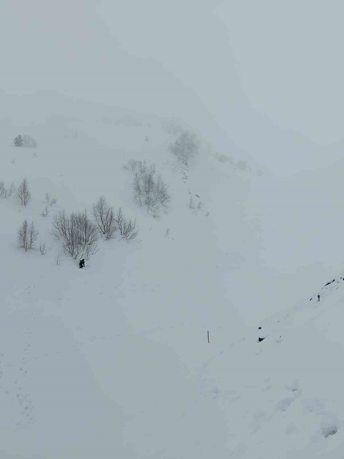 Uzman ekipten çığ bölgesinde inceleme: 95 gündür kayıp çoban için arama şartları oluşmadı
