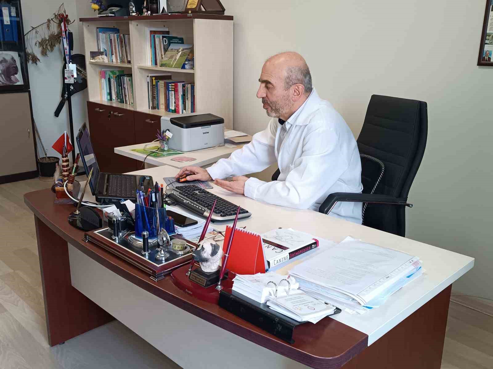 Uzman tavsiyesi: "Ayıyla karşılaşınca kaçmayın, ondan büyük görünmeye çalışın"
