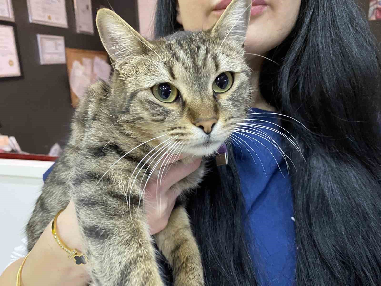 Uzman Veteriner Hekim Tuğçe Kara: "Tüyü var üşümez inancı yanlış"
Uzman Veteriner Hekim Tuğçe Kara: "Tüyü var üşümez inancı yanlış"