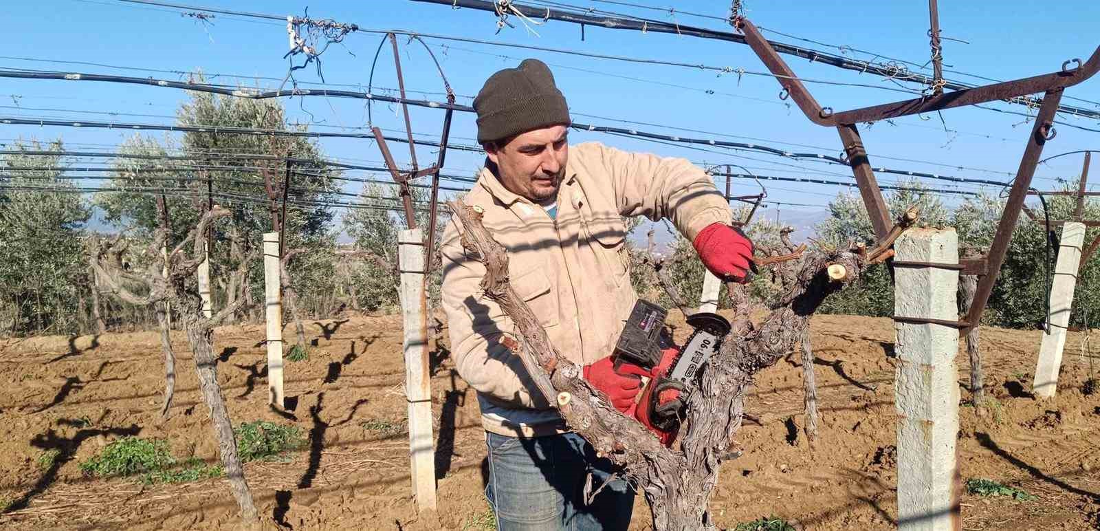 Üzüm üreticisi yenilik peşinde
