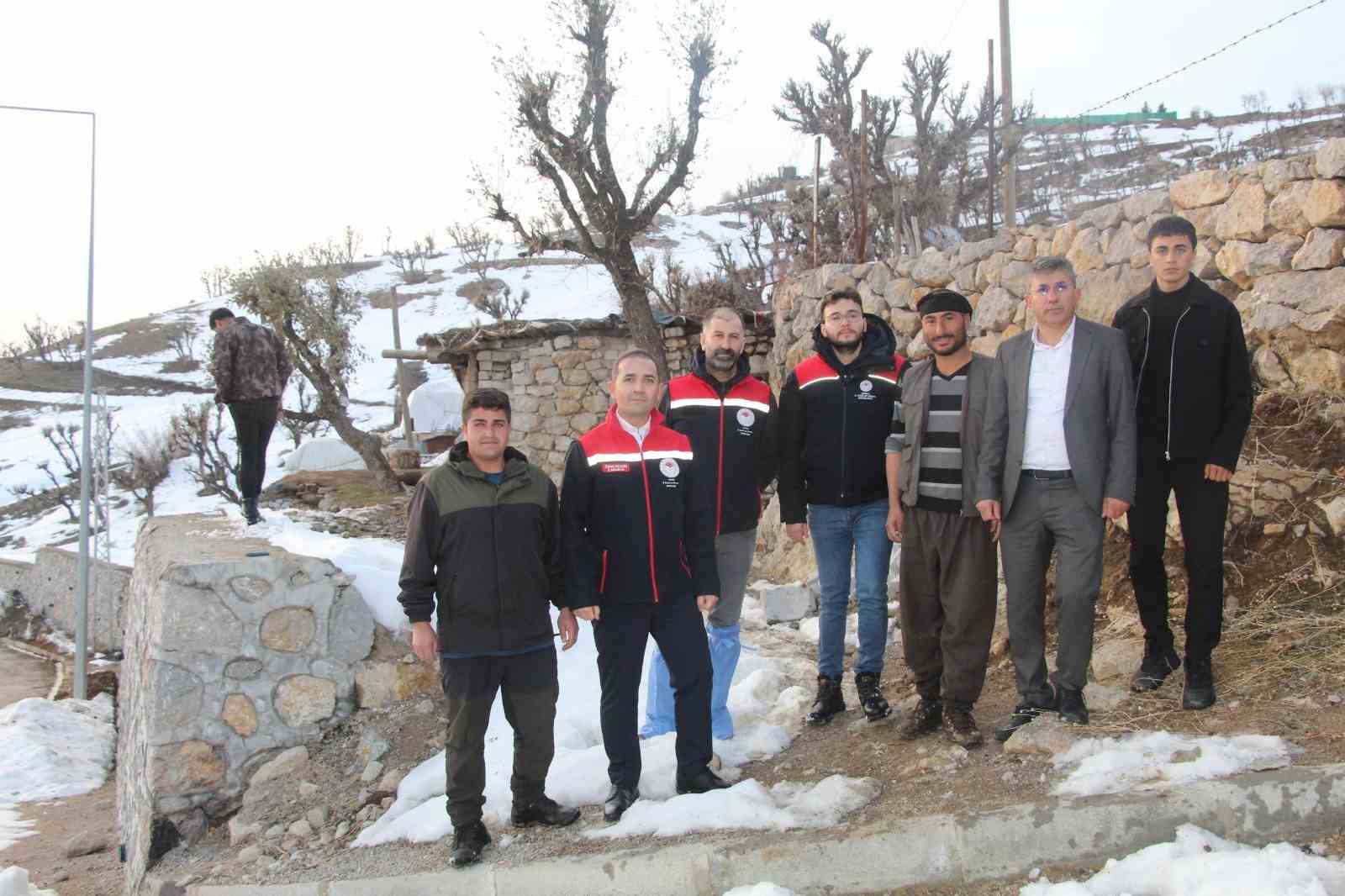 Vahşi hayvan saldırısında 35 koyun telef oldu, devlet yaraları sardı
