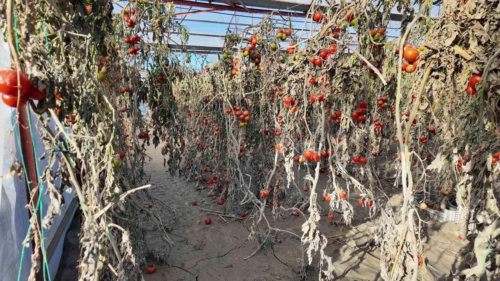 Vali Akbıyık, Seydikemer’de selden etkilenen çiftçilerle bir araya geldi
