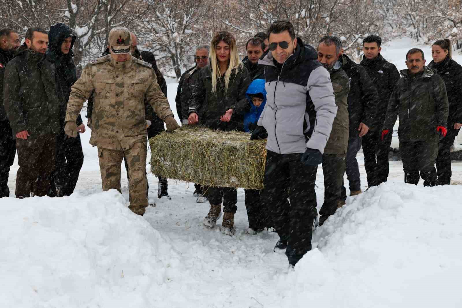 Vali Aygöl, yaban hayvanları için kolları sıvadı

