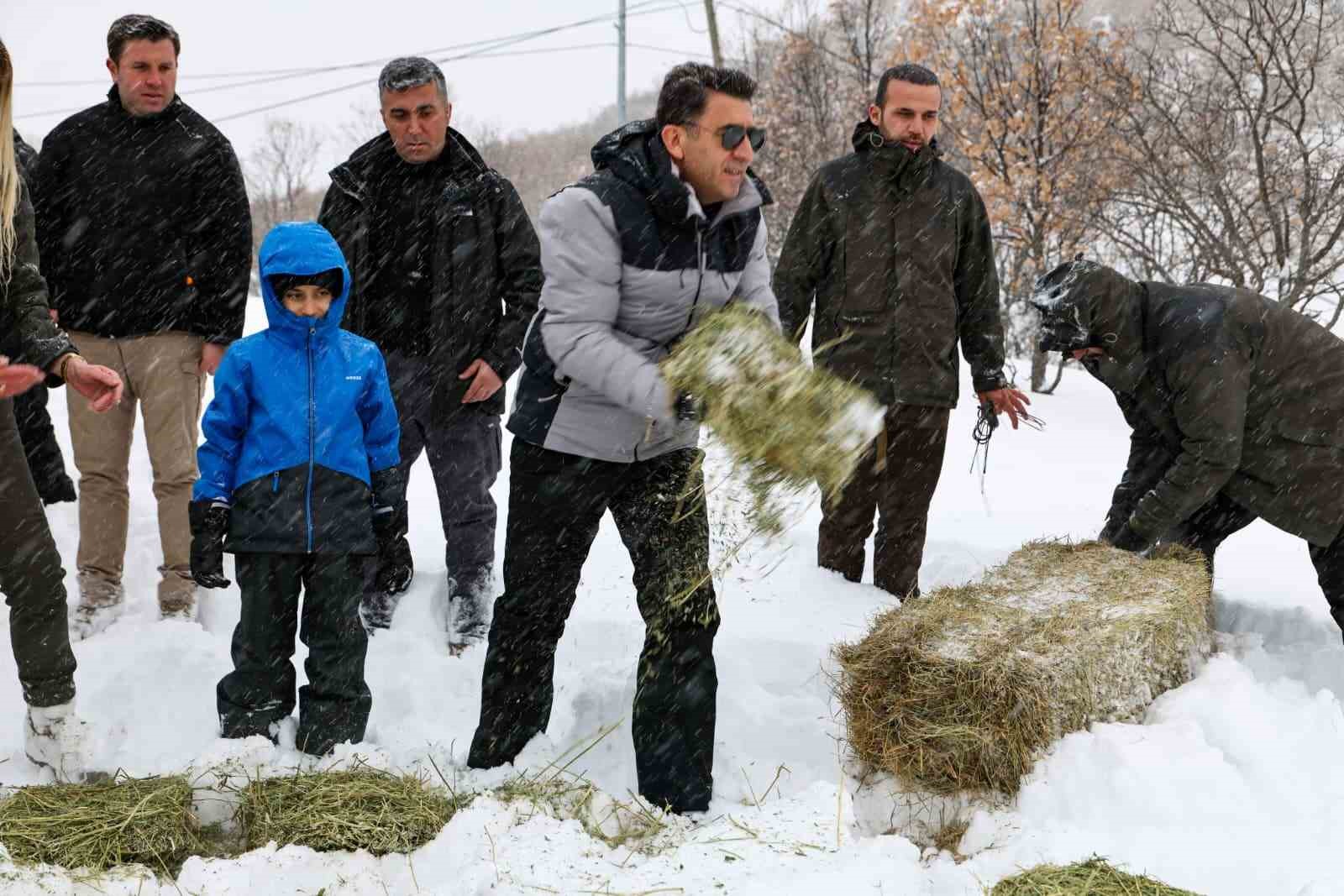 Vali Aygöl, yaban hayvanları için kolları sıvadı
