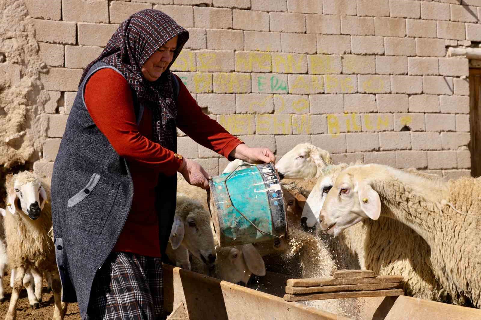 Vali Duru: "1,5 milyarlık finansmanla 125 bin küçükbaş hayvan alımı yapılacak"
Vali Duru: "1,5 milyarlık finansmanla 125 bin küçükbaş hayvan alımı yapılacak"