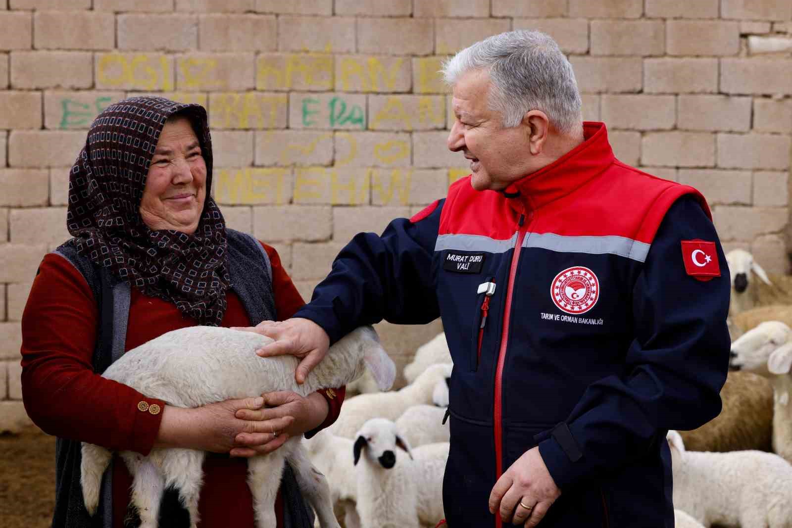 Vali Duru: "1,5 milyarlık finansmanla 125 bin küçükbaş hayvan alımı yapılacak"
Vali Duru: "1,5 milyarlık finansmanla 125 bin küçükbaş hayvan alımı yapılacak"