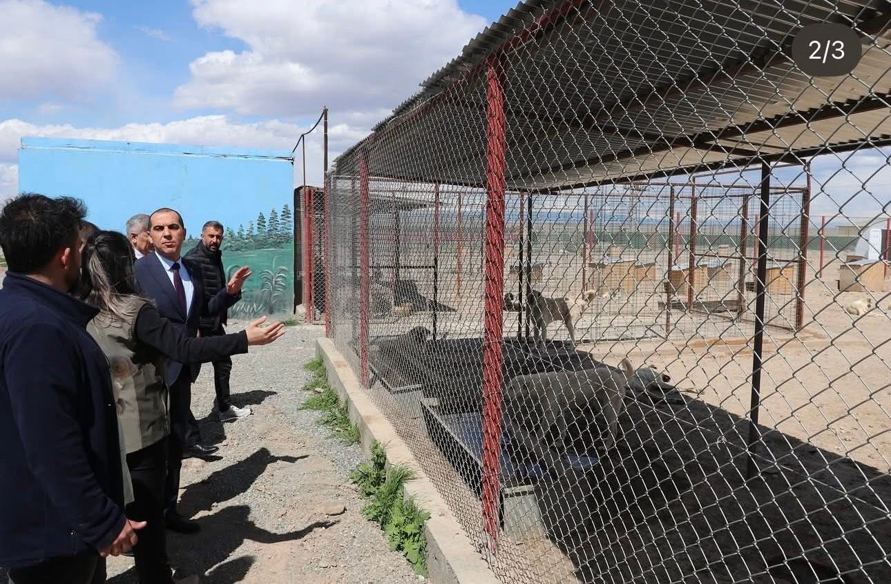 Vali Taşolar, Iğdır Geçici Hayvan Bakımevi’ni ziyaret etti
