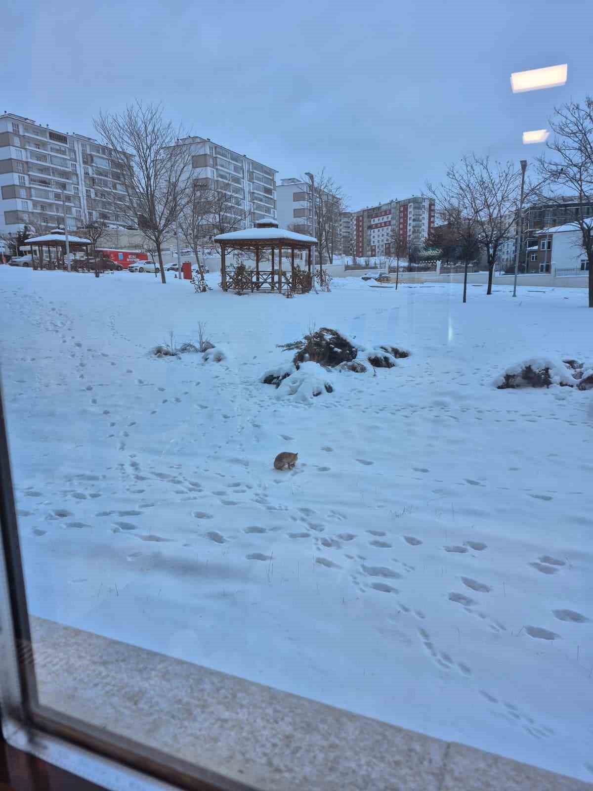 Valilik bahçesindeki davetsiz misafir gülümsetti
