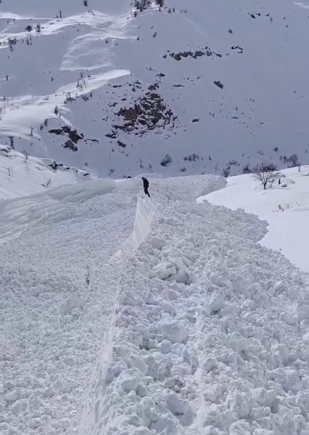 Van Bahçesaray’da mezra yoluna çığ düştü
