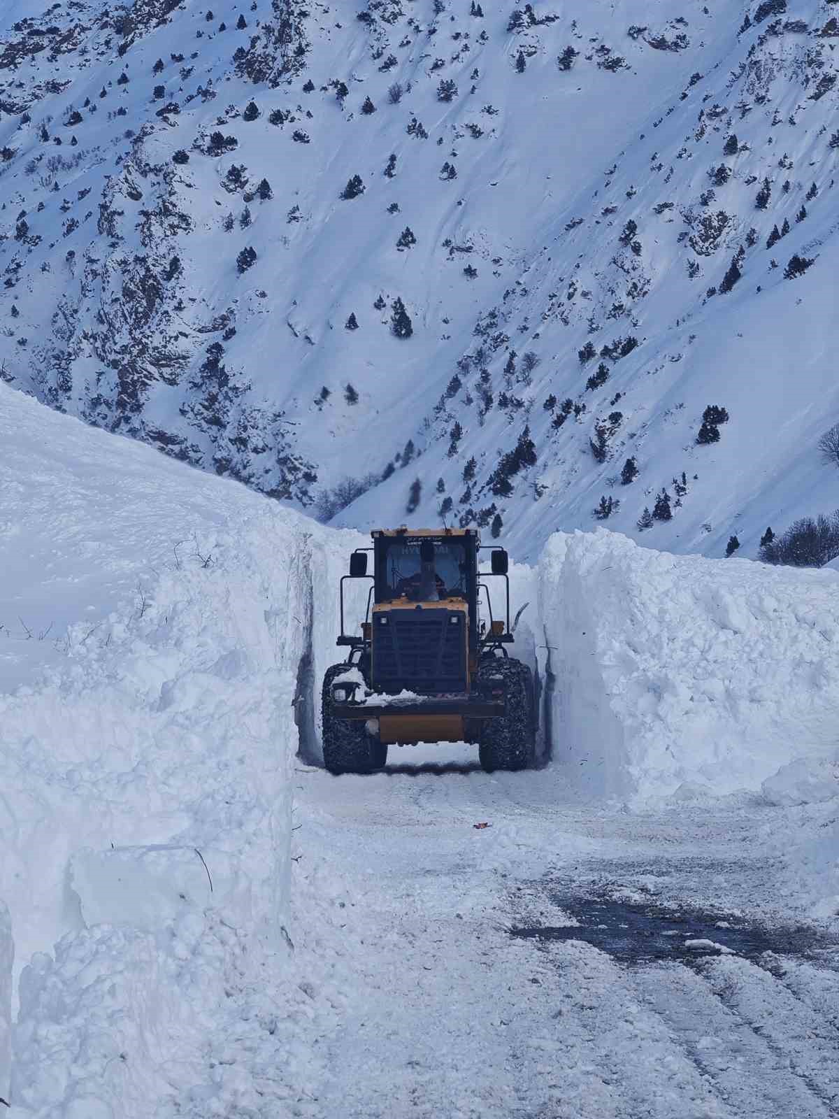 Van-Çatak karayolu ulaşıma açılmaya çalışılıyor
