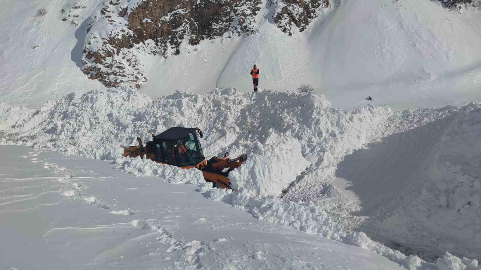 Van-Çatak yoluna düşen çığ temizleniyor
