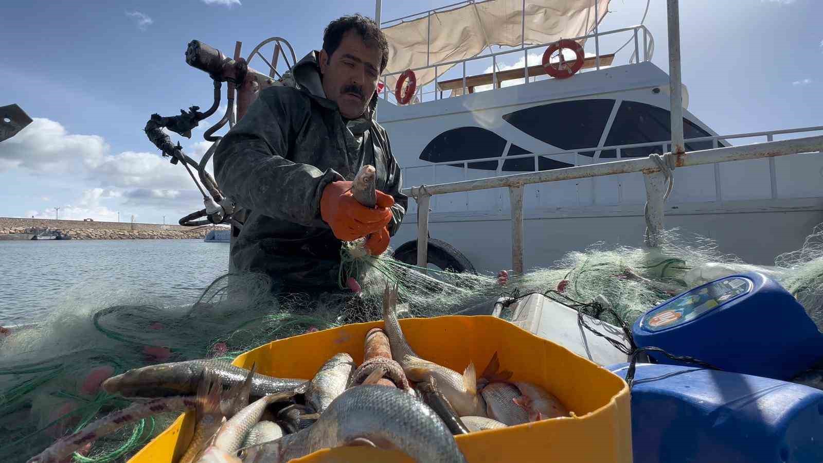 Van Gölü’nde inci kefali için av yasağı: Kaçak avlanmanın cezası 16 bin TL
Van Gölü’nde inci kefali için av yasağı: Kaçak avlanmanın cezası 16 bin TL
