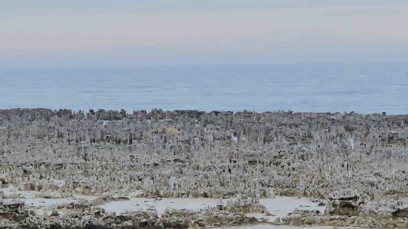 Van Gölü’nde kuraklık alarmı: Adilcevaz sahilinde mikrobiyalitler gün yüzüne çıktı
