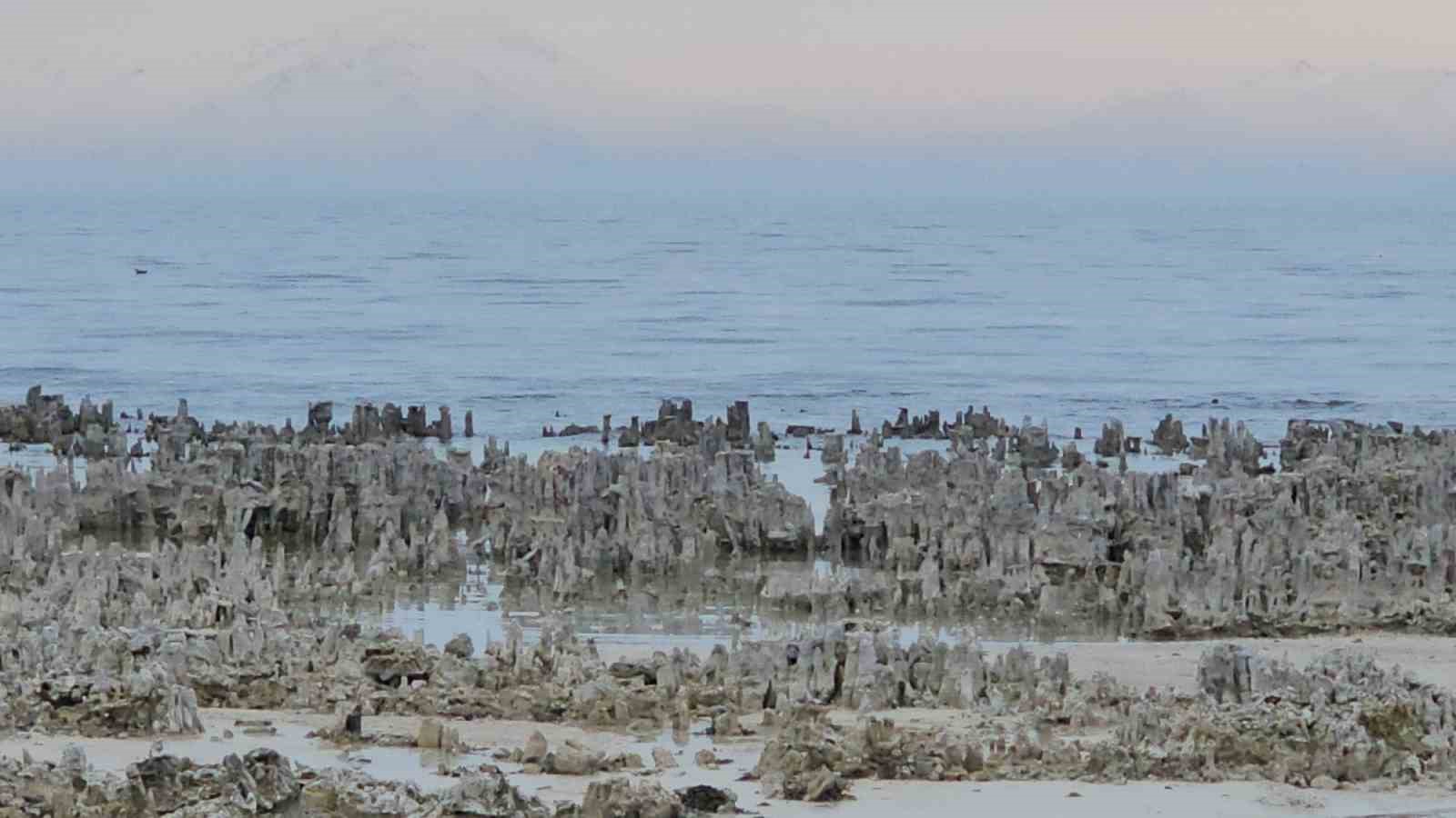 Van Gölü’nde kuraklık alarmı: Adilcevaz sahilinde mikrobiyalitler gün yüzüne çıktı
