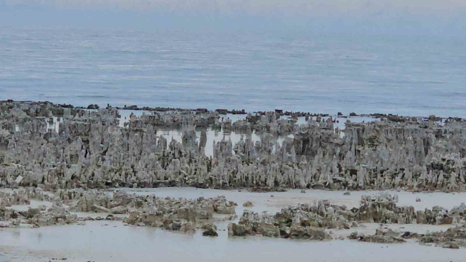 Van Gölü’nde kuraklık alarmı: Adilcevaz sahilinde mikrobiyalitler gün yüzüne çıktı

