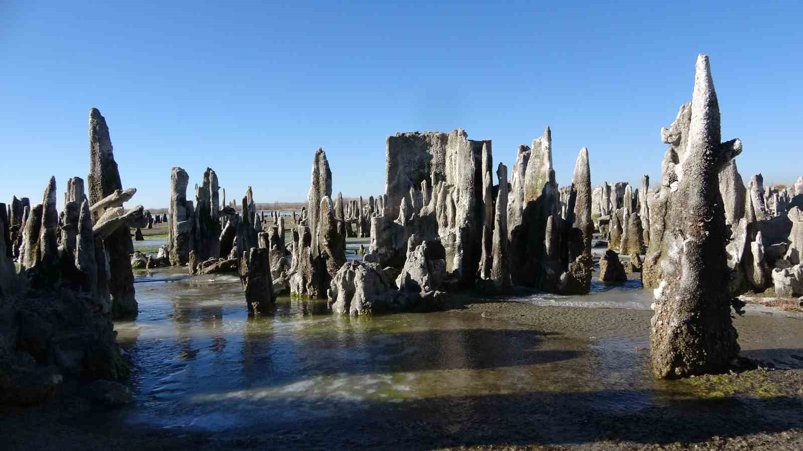 Van Gölü’nün mikrobiyalitleri Guinness için ön elemeyi geçti
