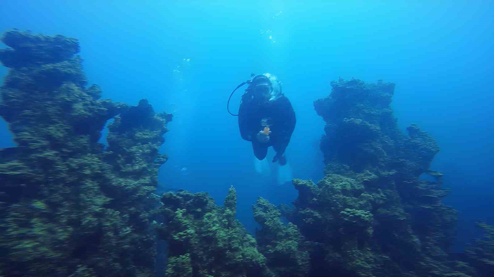 Van Gölü’nün mikrobiyalitleri Guinness için ön elemeyi geçti
