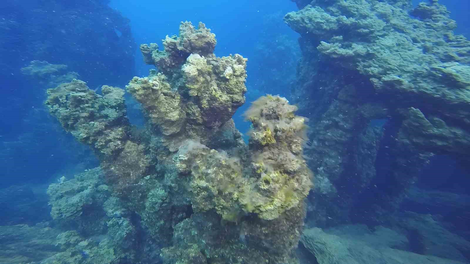 Van Gölü’nün mikrobiyalitleri Guinness için ön elemeyi geçti
