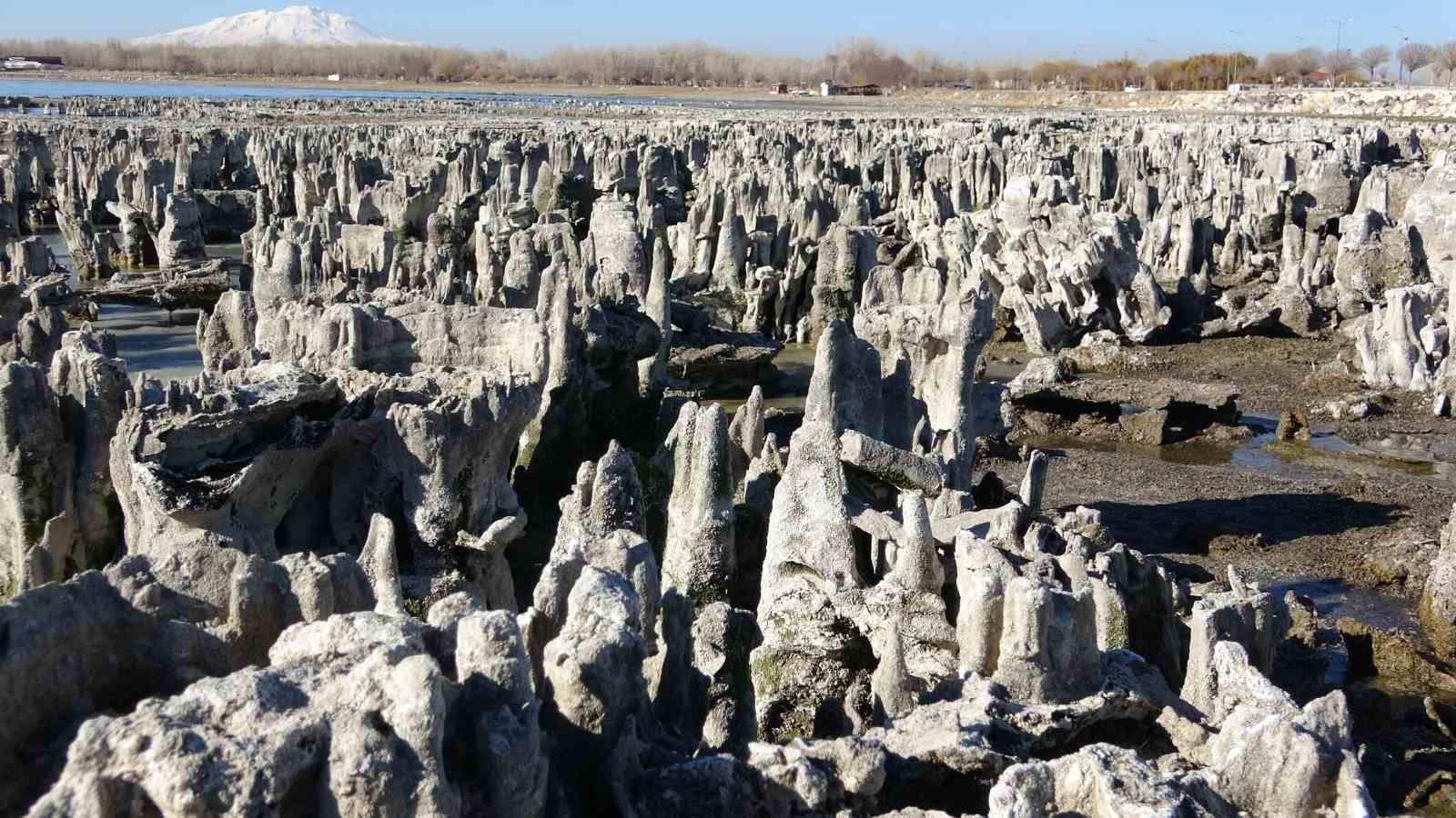 Van Gölü’nün mikrobiyalitleri Guinness için ön elemeyi geçti
