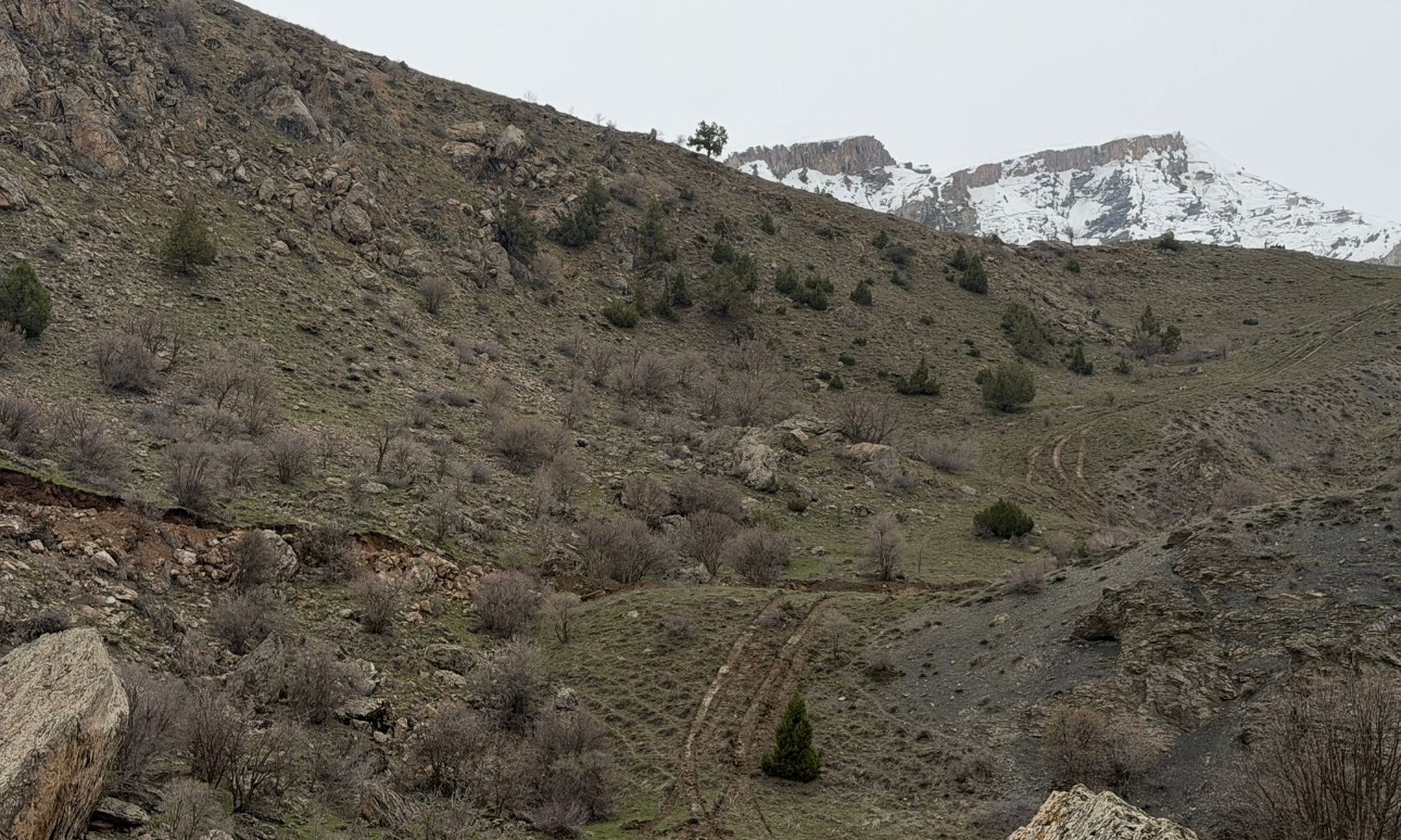 Van-Hakkari kara yolunda heyelan riski devam ediyor
