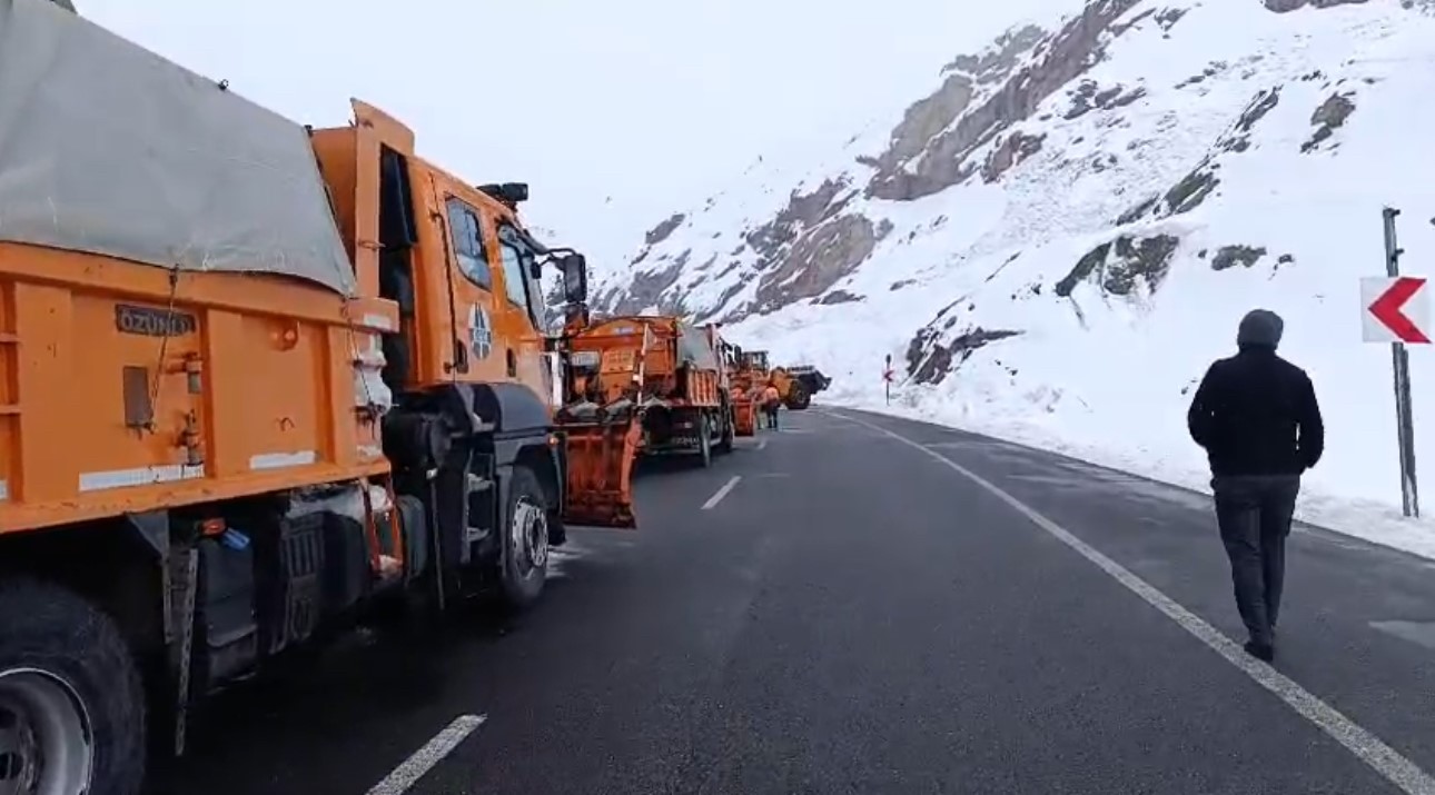Van-Hakkari karayolunda çığ: Çok sayıda araç mahsur kaldı
