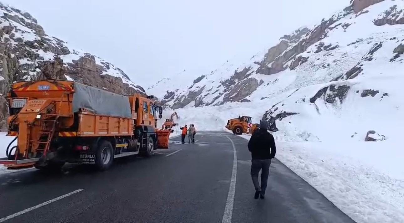 Van-Hakkari karayolunda çığ: Çok sayıda araç mahsur kaldı
