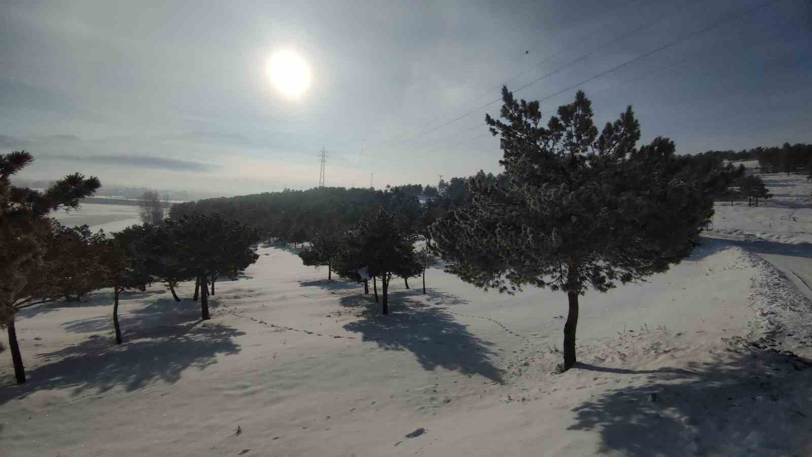 Van-Özalp kara yolunda sis görüş mesafesini düşürdü
