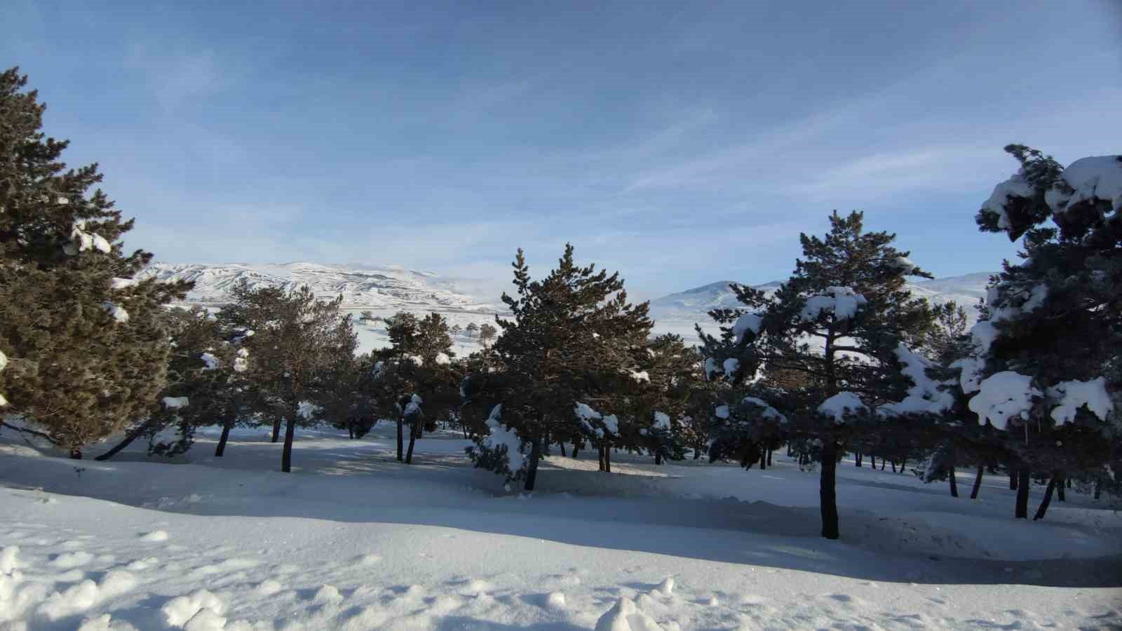 Van-Özalp kara yolunda sis görüş mesafesini düşürdü
