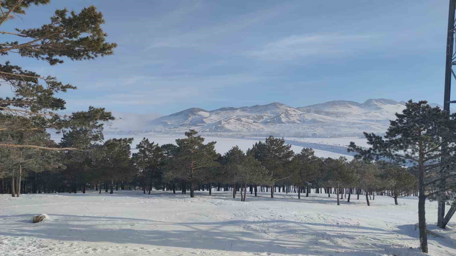 Van-Özalp kara yolunda sis görüş mesafesini düşürdü
