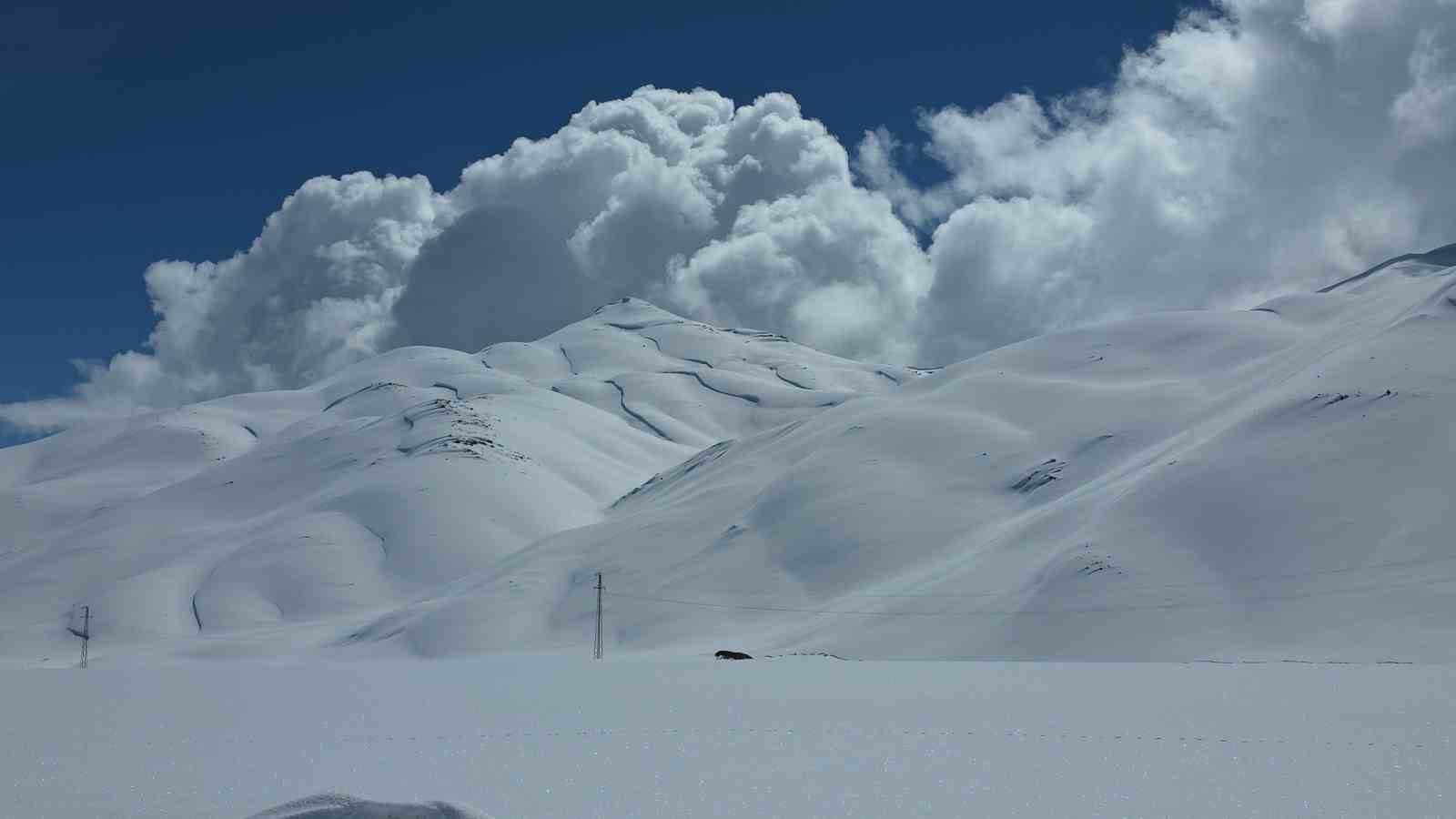 Van YYÜ Su Ürünleri Fakültesi Dr. Öğretim Üyesi Mustafa Akkuş: "Bu yıl yüzleri güldürecek bir tablo mevcut"

